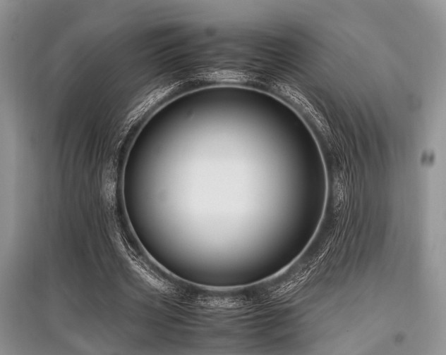 X0000097880533200803141322