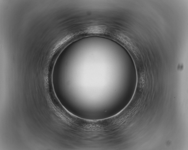 X0000097880535200803141322
