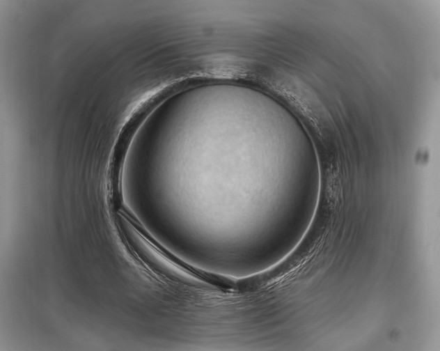 X0000097880536200803141322