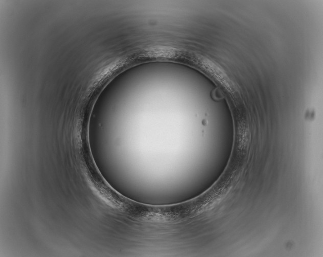 X0000097880538200803141322