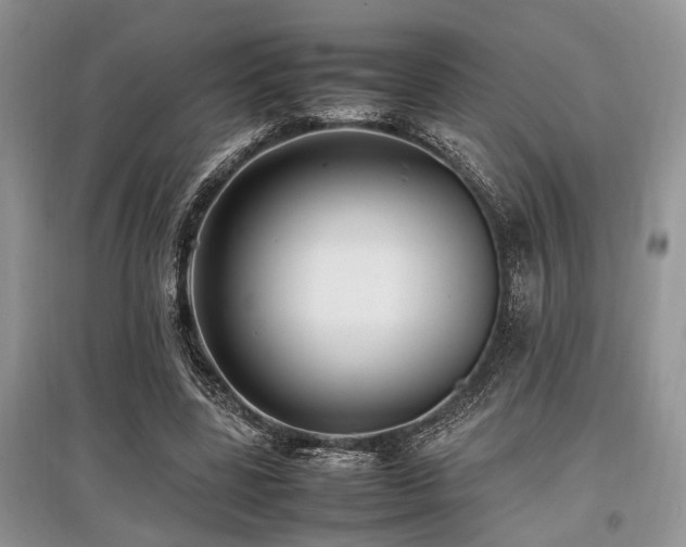 X0000097880539200803141322