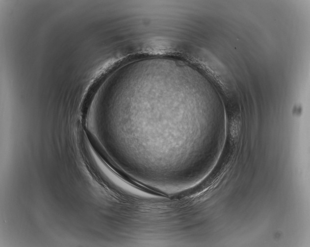 X0000097880540200803141322