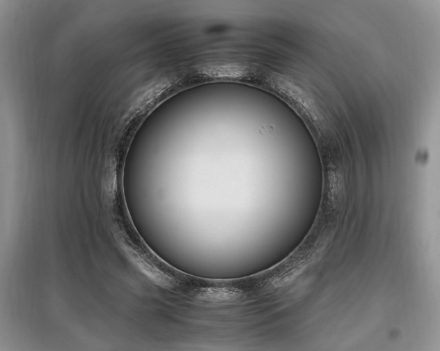 X0000097880541200803141322
