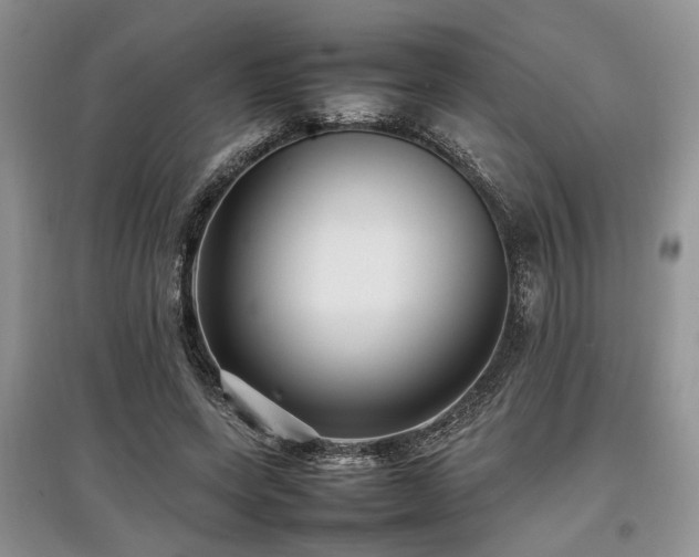 X0000097880543200803141322
