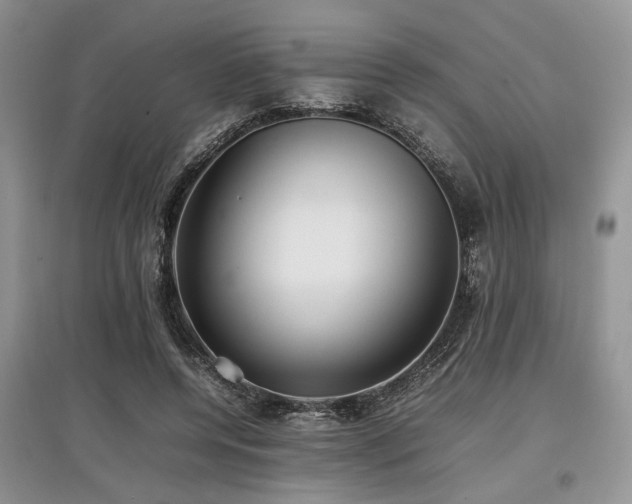 X0000097880544200803141322