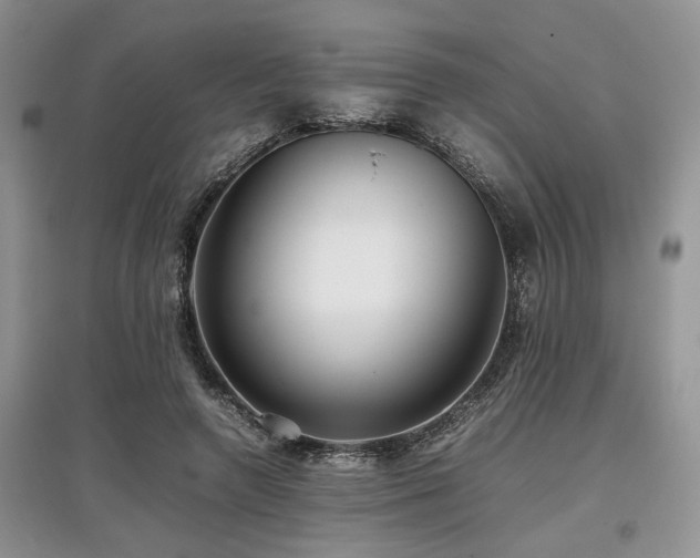 X0000097880546200803141322