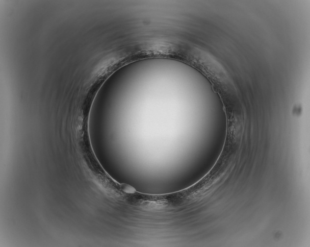 X0000097880548200803141322