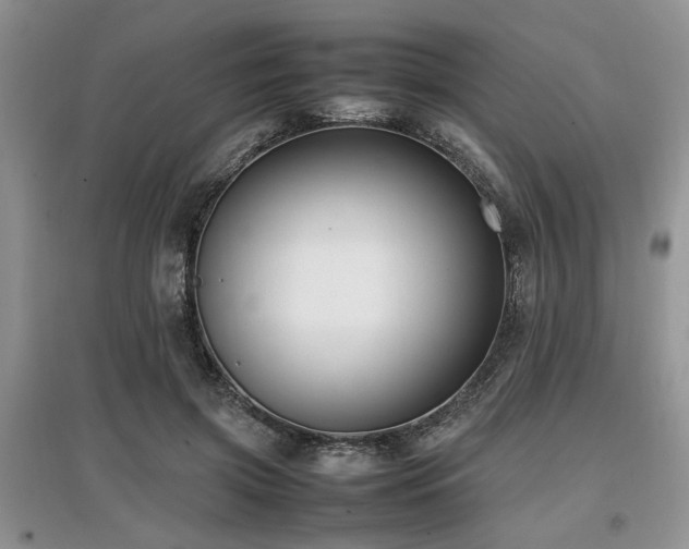 X0000097880549200803141322