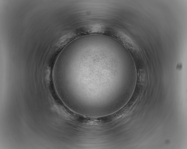 X0000097880550200803141322