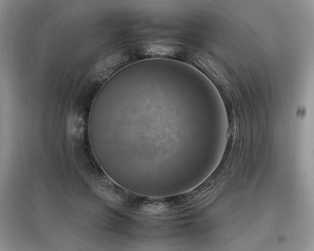 X0000097880551200803141322