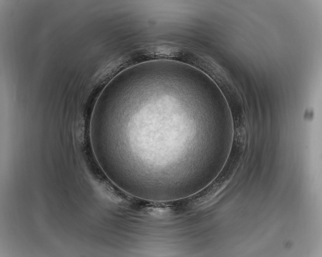 X0000097880552200803141322