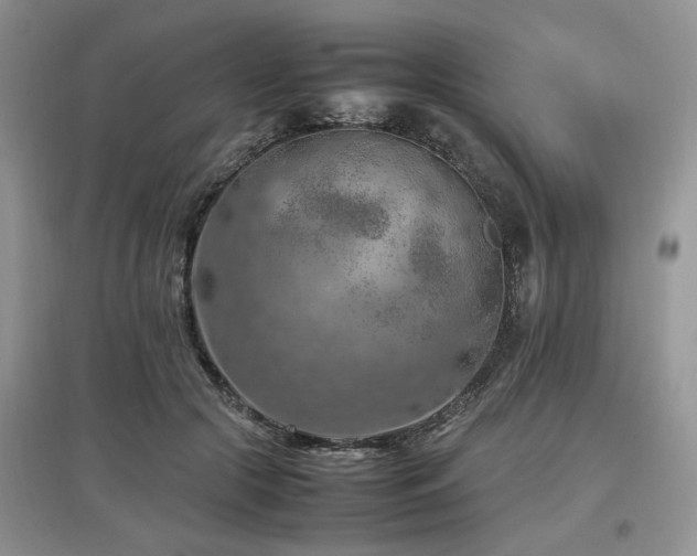 X0000097880553200803141322