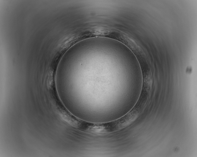 X0000097880554200803141322