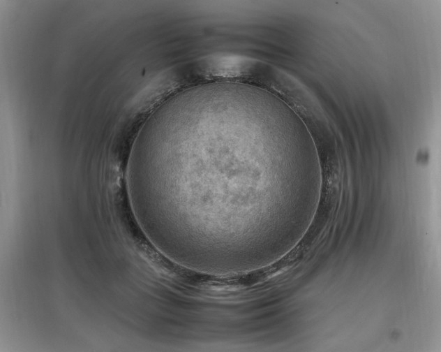X0000097880555200803141322