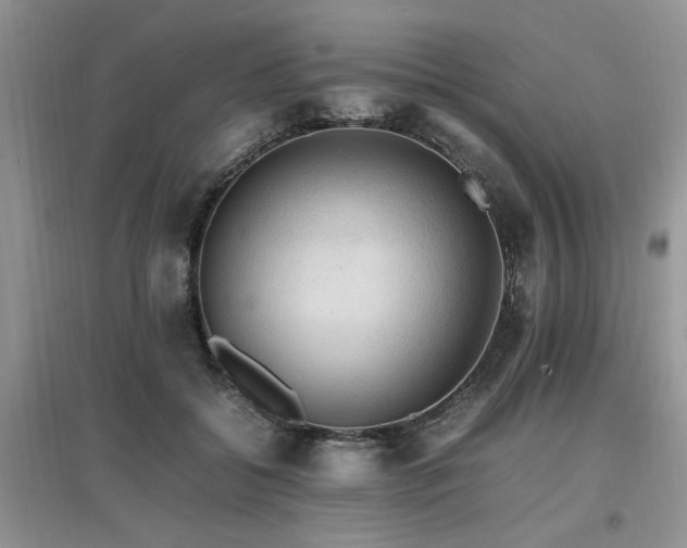 X0000097880556200803141322