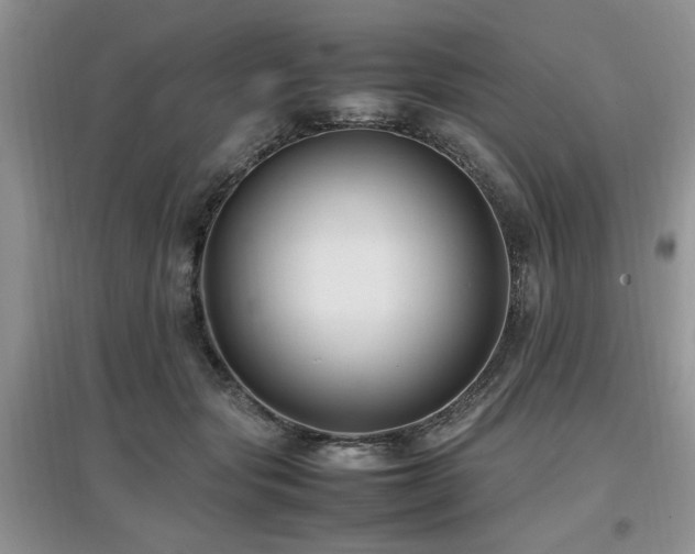 X0000097880557200803141322