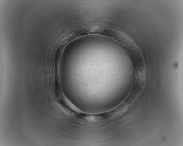 X0000097880558200803141322