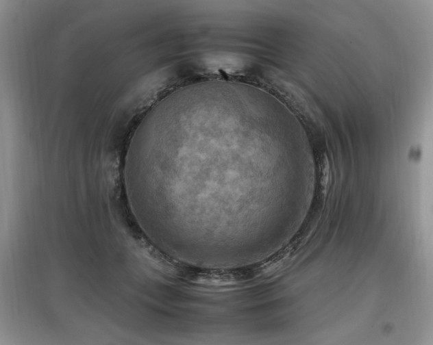 X0000097880559200803141322