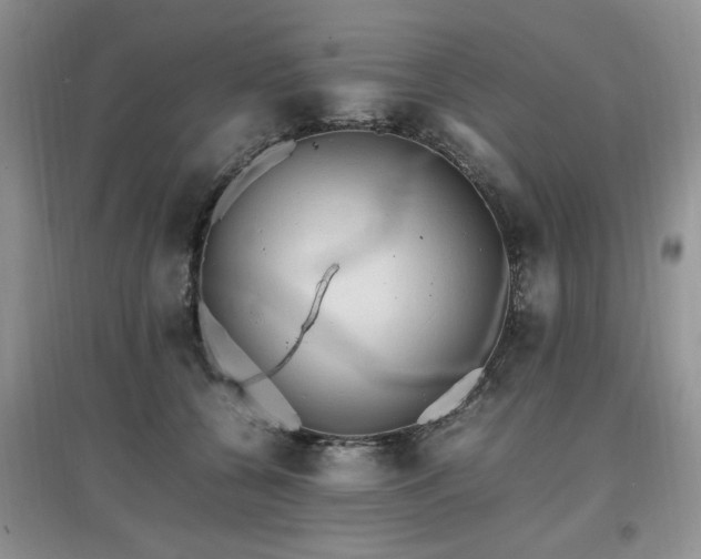 X0000097880560200803141322