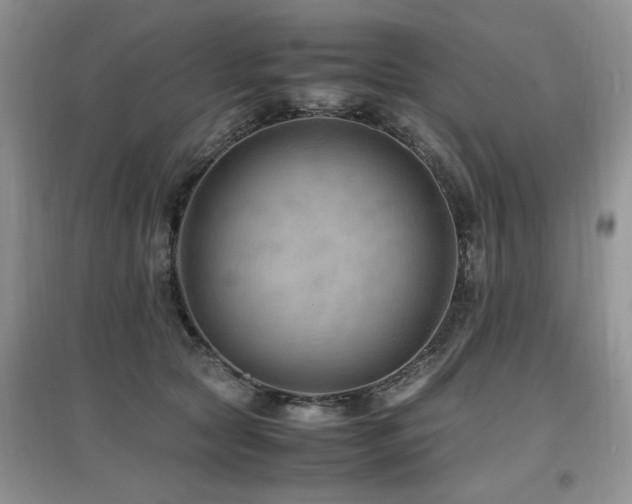 X0000097880561200803141322
