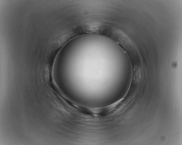 X0000097880562200803141322