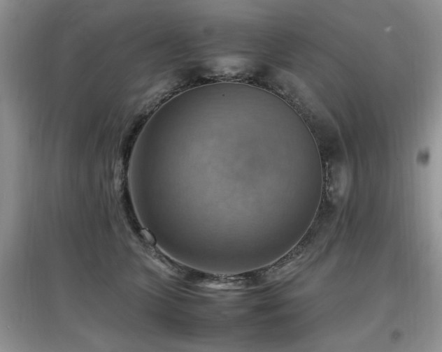 X0000097880563200803141322