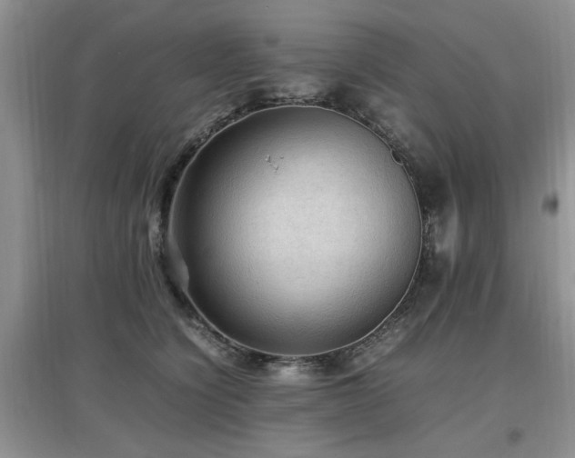 X0000097880564200803141322