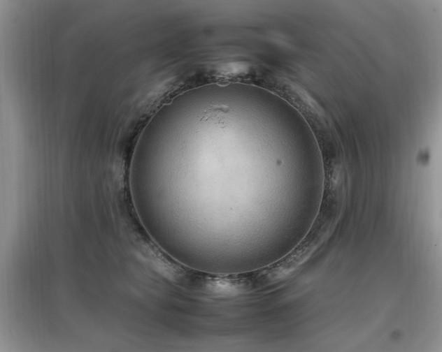 X0000097880565200803141322