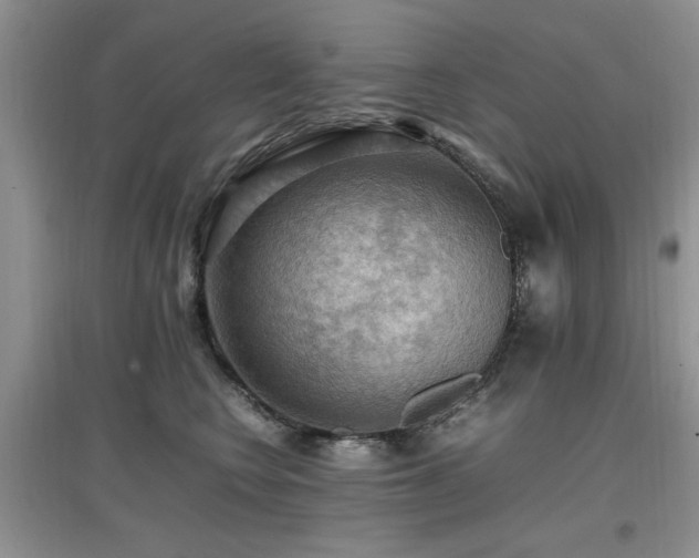 X0000097880566200803141322