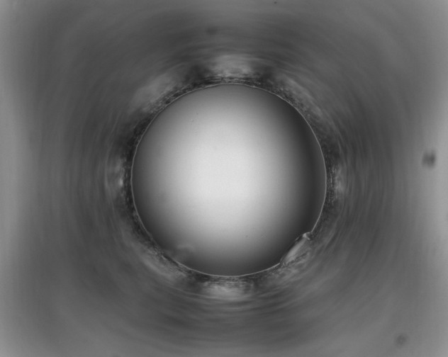 X0000097880567200803141322