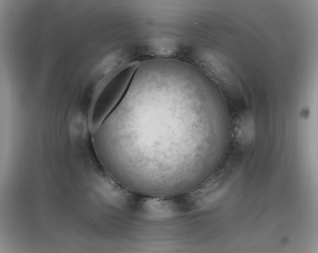 X0000097880568200803141322