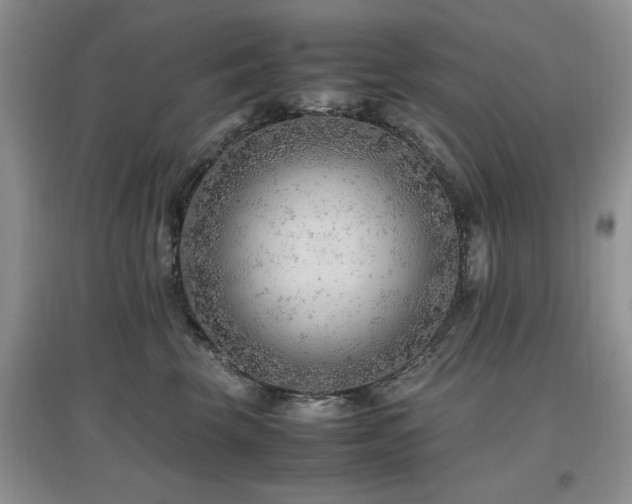 X0000097880569200803141322