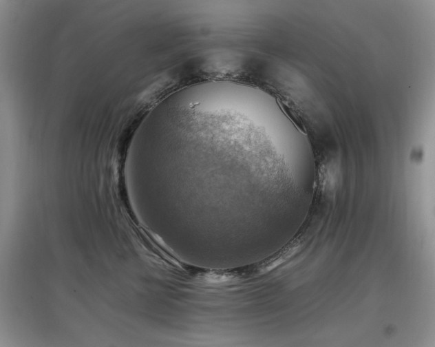 X0000097880570200803141322