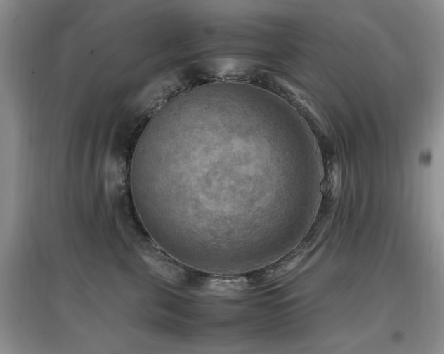 X0000097880571200803141322