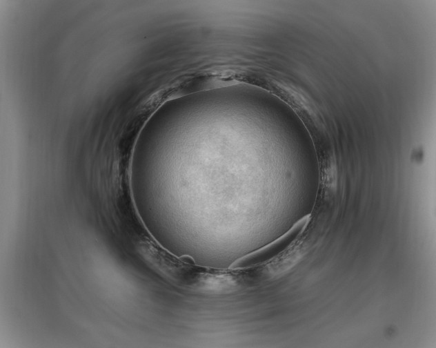 X0000097880572200803141322