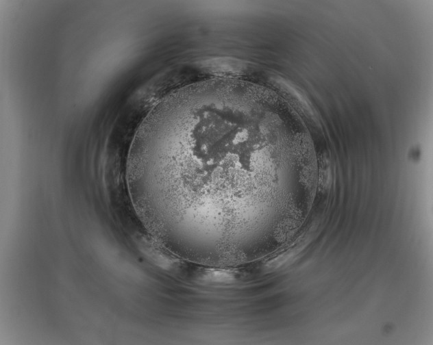 X0000097880573200803141322