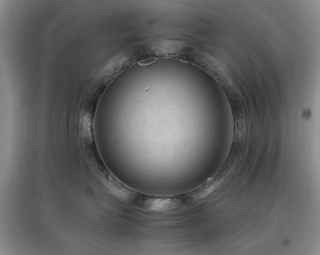 X0000097880575200803141322
