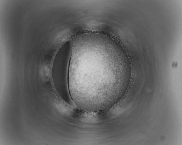 X0000097880576200803141322
