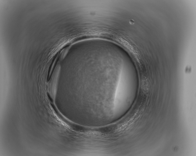 X0000097880577200803141322