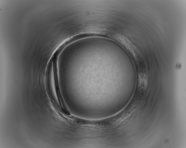 X0000097880580200803141322
