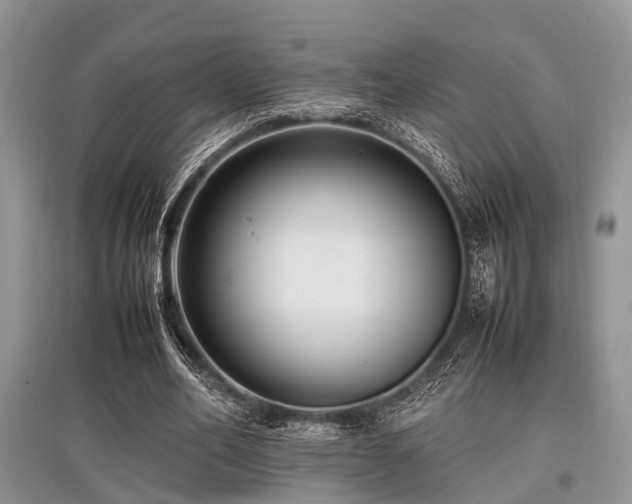 X0000097880582200803141322