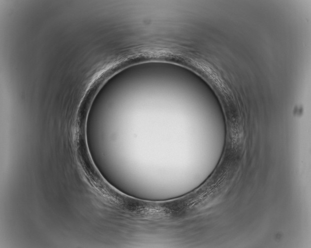 X0000097880583200803141322