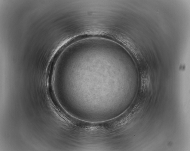X0000097880584200803141322