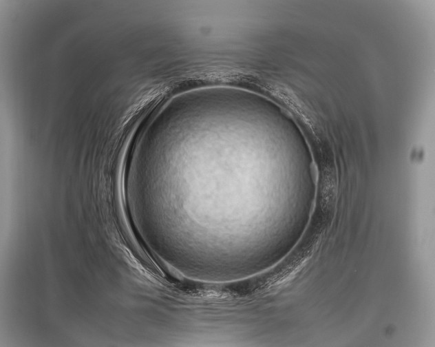 X0000097880585200803141321