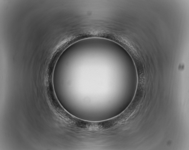 X0000097880587200803141321