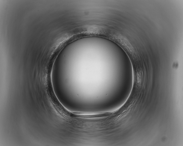 X0000097880588200803141321