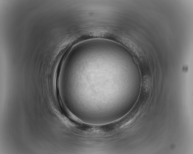 X0000097880589200803141321