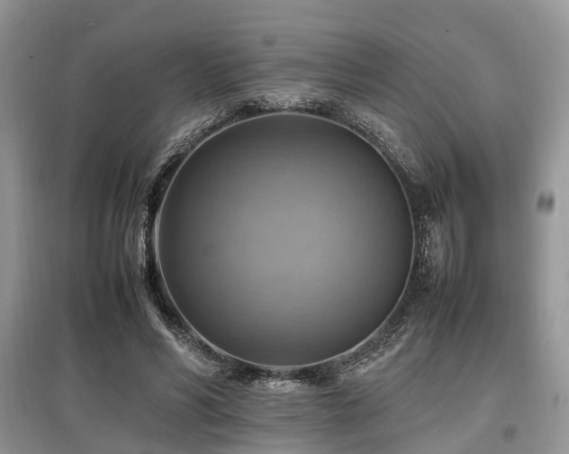 X0000097880590200803141321