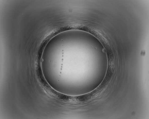 X0000097880591200803141321