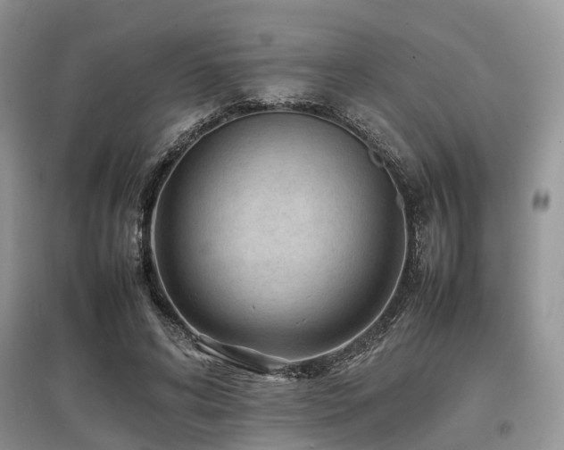 X0000097880592200803141321